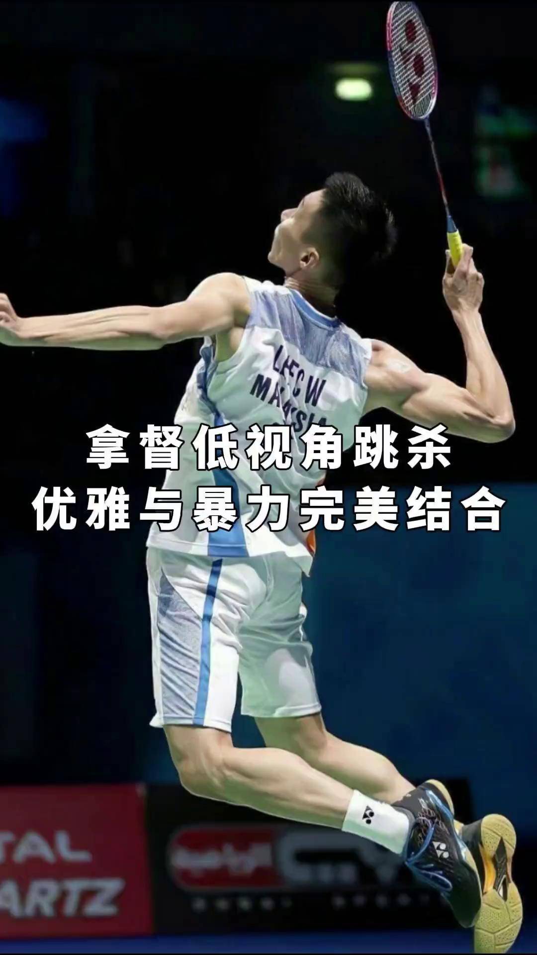 法国羽毛球队翻盘日本羽毛球队，李宗伟关键制胜的简单介绍