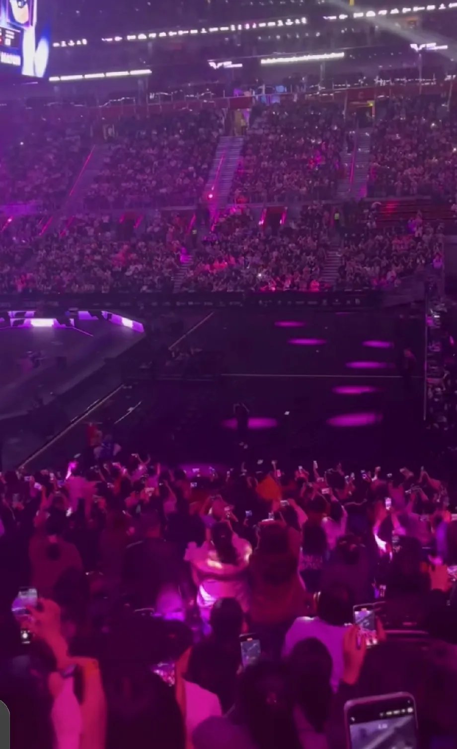 关于比赛现场狂欢，观众陶醉其中的信息