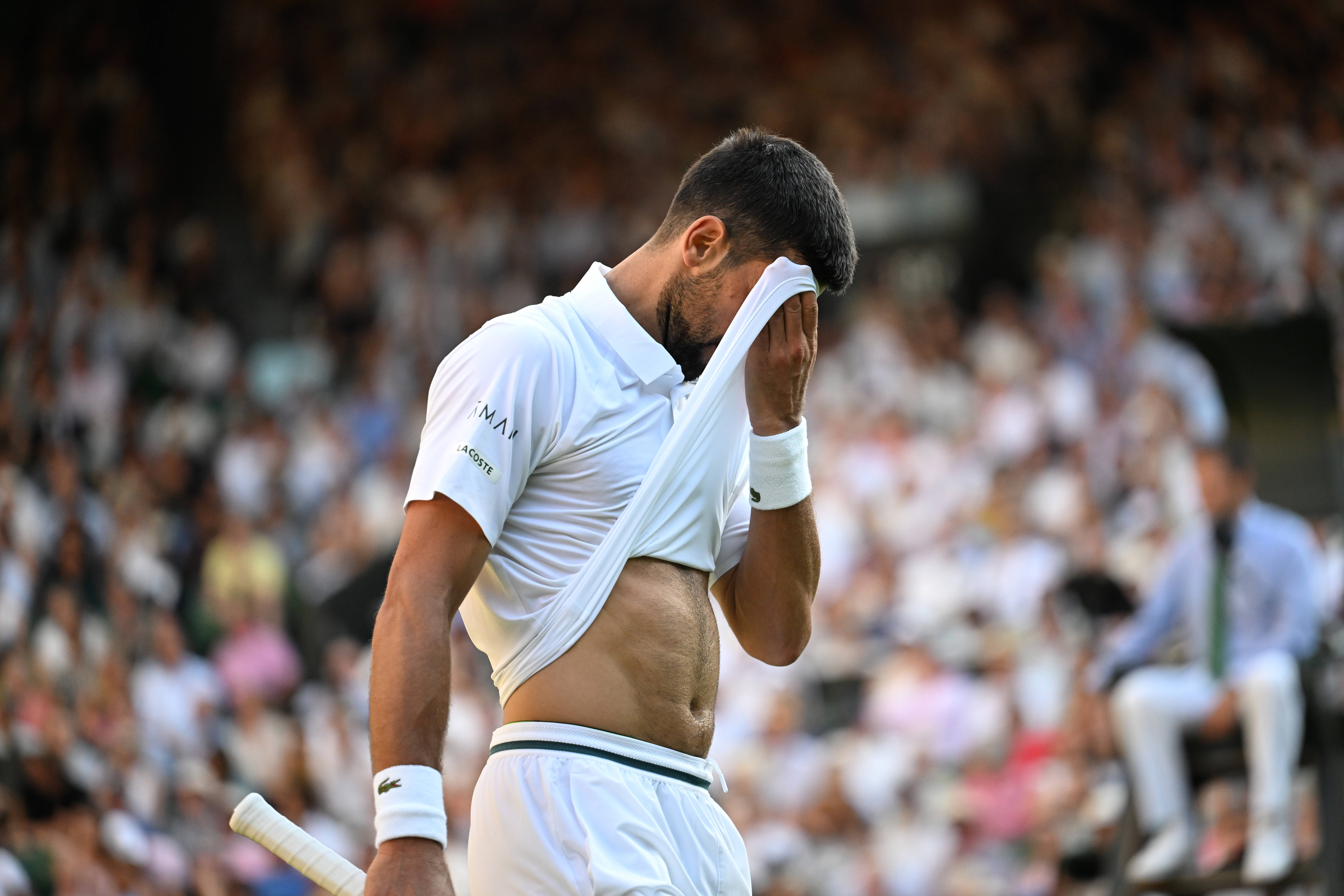 关于澳网鏖战温网，辛纳惊艳四座的信息