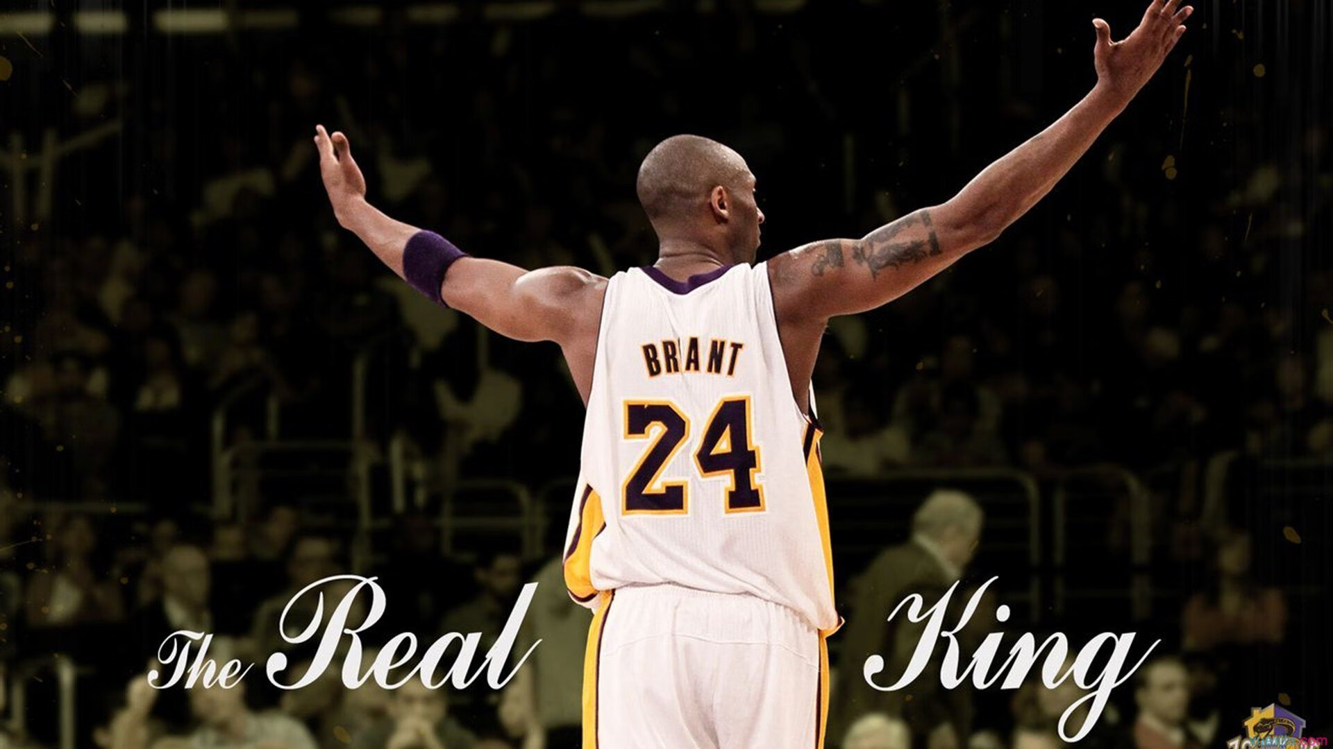 开云体育官网-当蓝鹰遇见非洲勇士，孙兴慜的跨大陆统治级表演